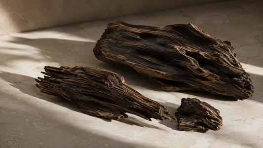 What Is Oud? Understanding Agarwood and Its Timeless Fragrance - VELORIEN