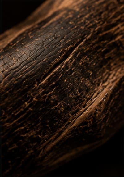 The Agarwood Ritual Pendant | Handcrafted Natural Fragrance Accessory